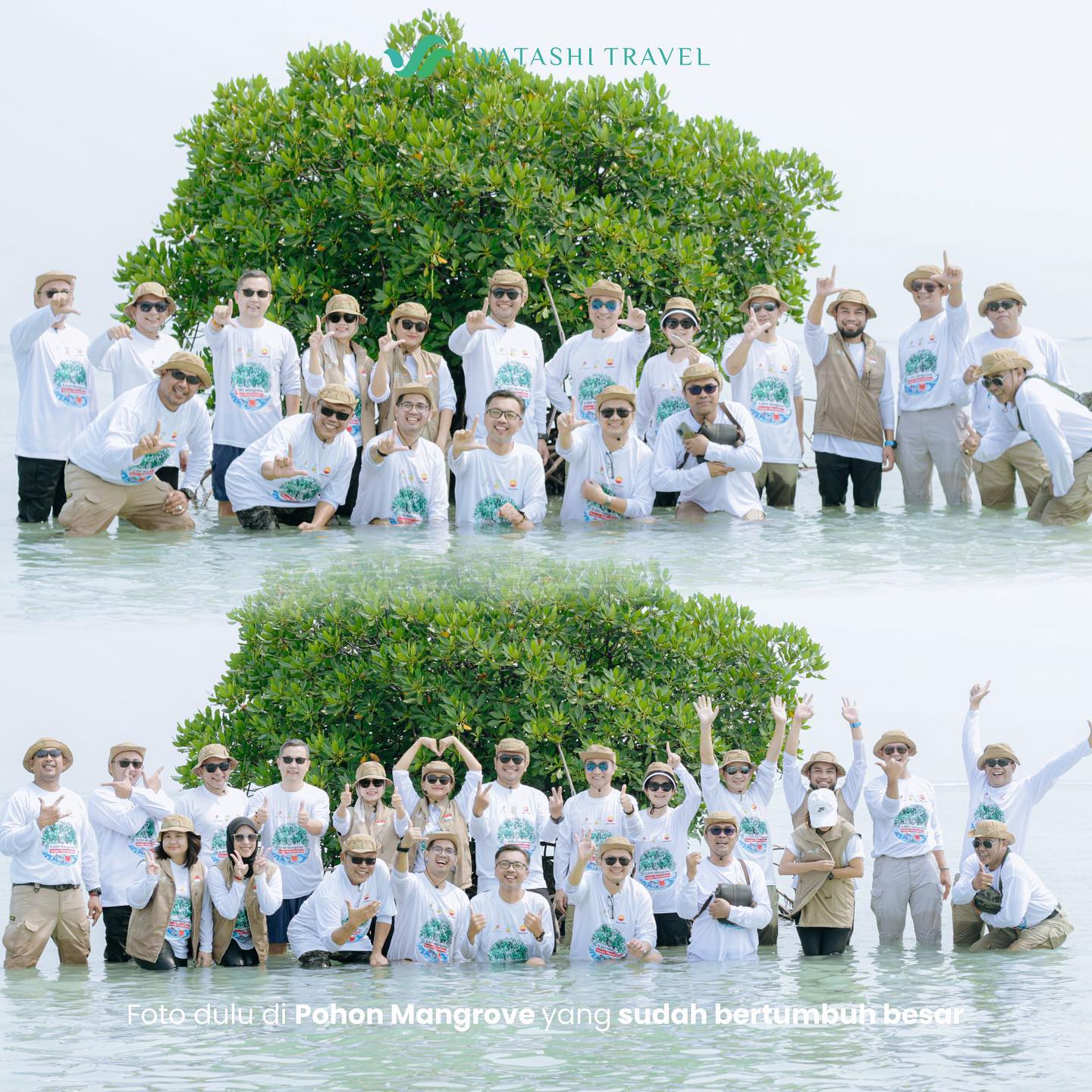 Snorkeling di Pulau Seribu